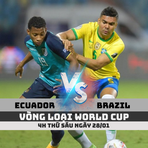 Nhận định Ecuador vs Brazil, Vòng loại World Cup ngày 28/01