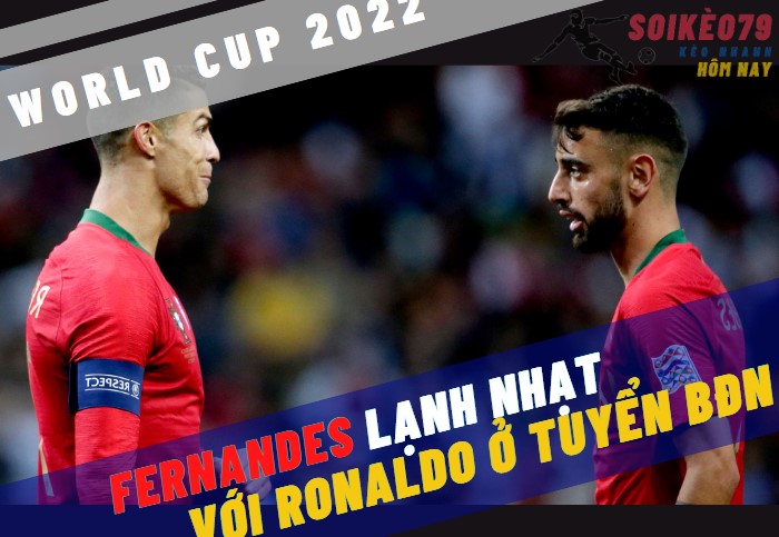 fernandes ronaldo world cup 2022 soikeo79
